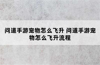 问道手游宠物怎么飞升 问道手游宠物怎么飞升流程